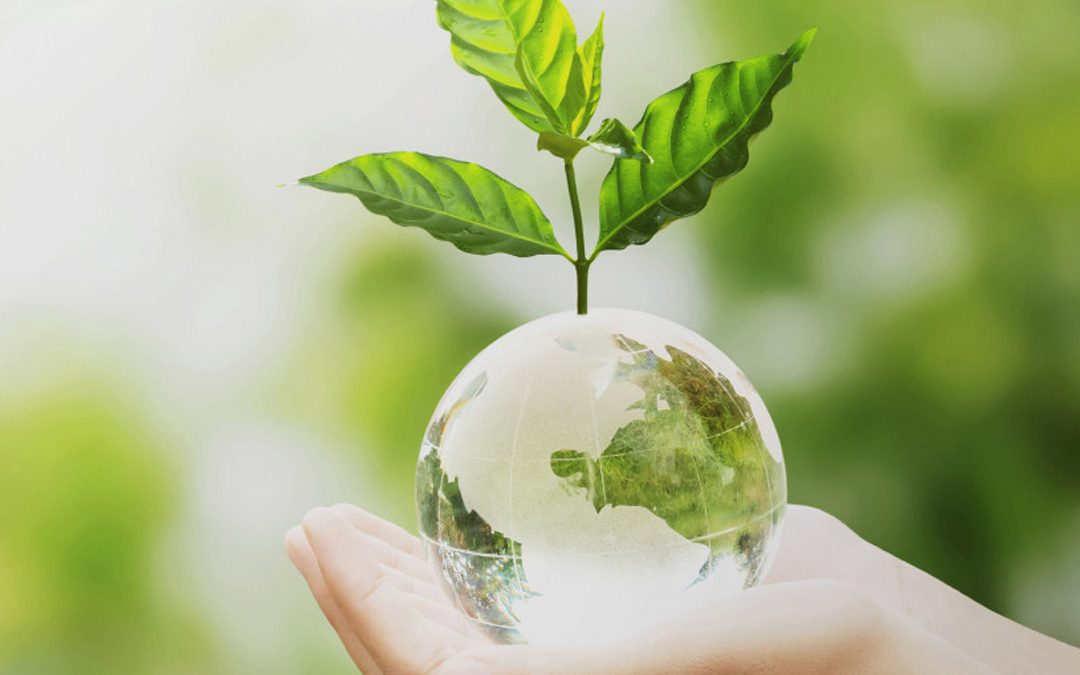 CONSULTATION DE NATUROPATHIE